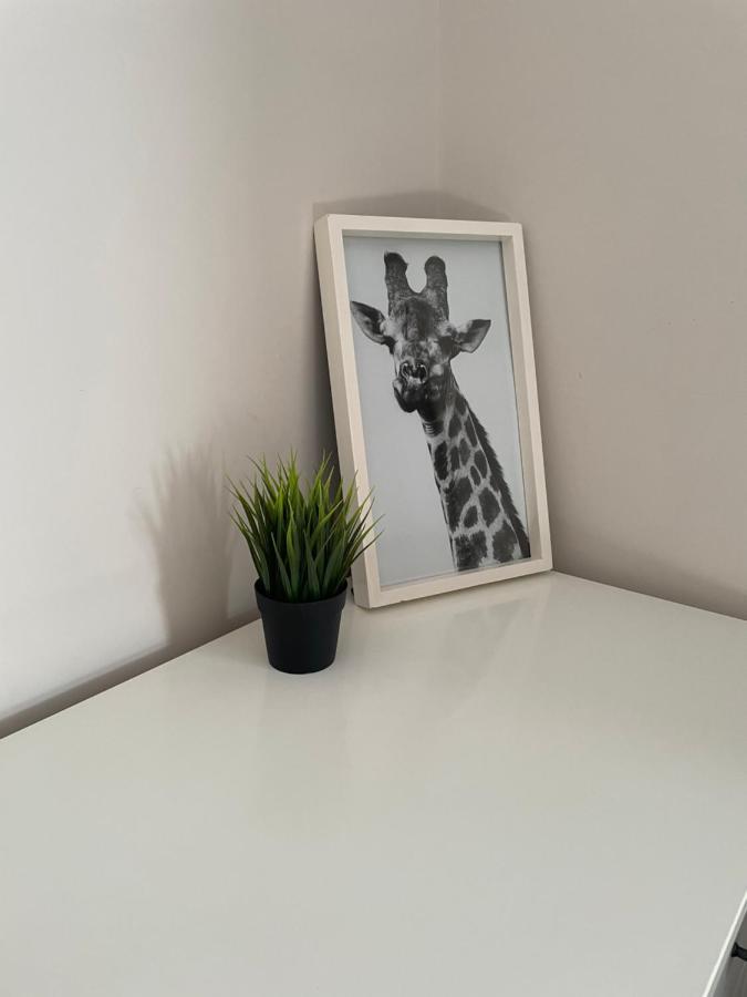 The Corner House - Modern Chesterfield Town Centre Apartments Экстерьер фото